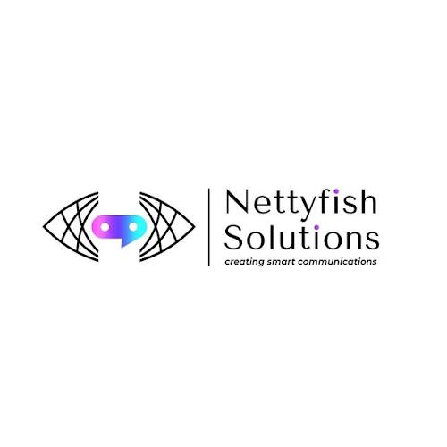 Nettyfish | Best Digital Marketing Company in Chennai|IT Services|Professional Services